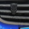 Black Panther Sticker | Panther Car Decal | Burhani Car Accessories